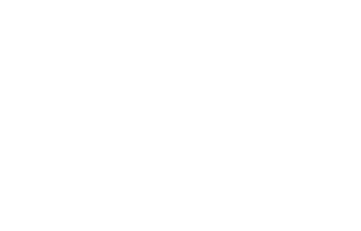 IPV API